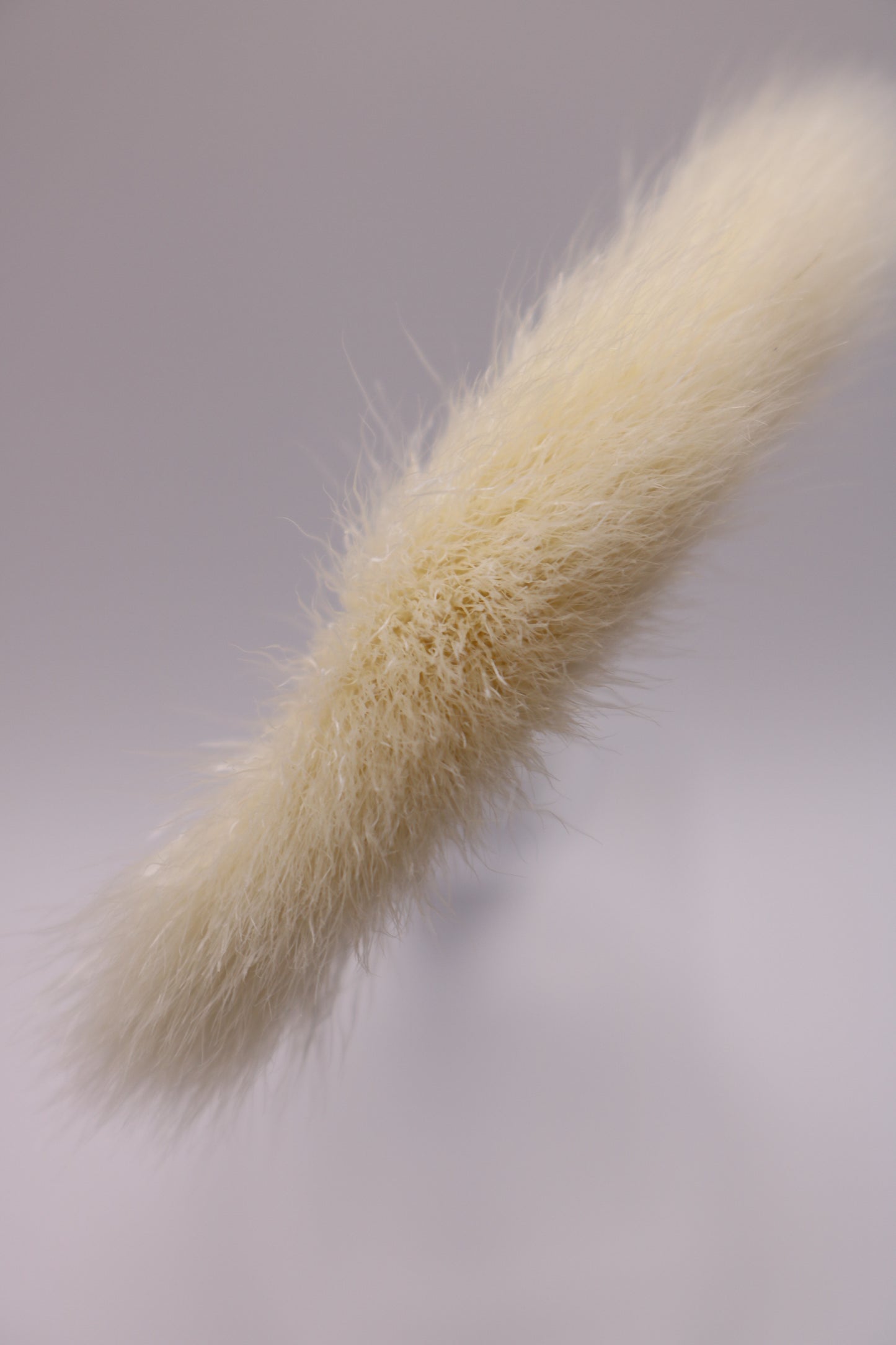 -Blanca facial brush (1) single