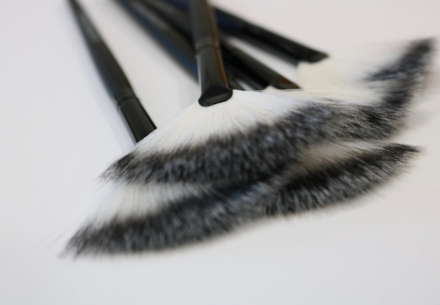 -Zebra Facial brush set of 2