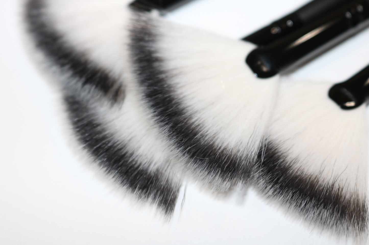 -Zebra Facial brush set of 2