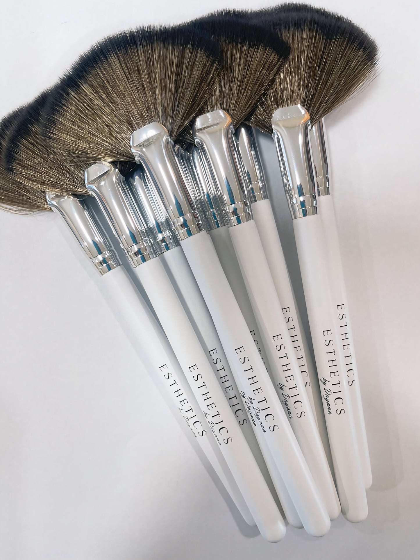 -Esthetician Fan Brush (1) single