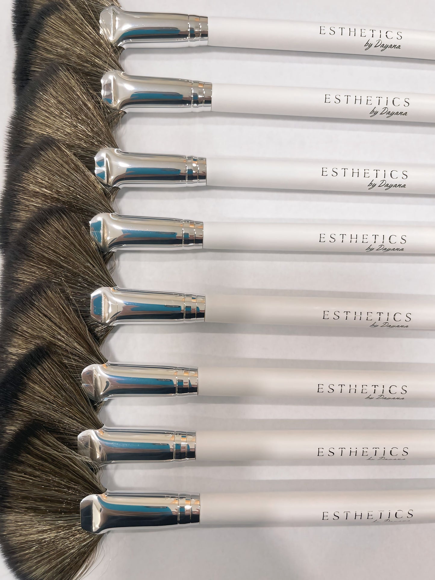 -Esthetician Fan Brush (1) single