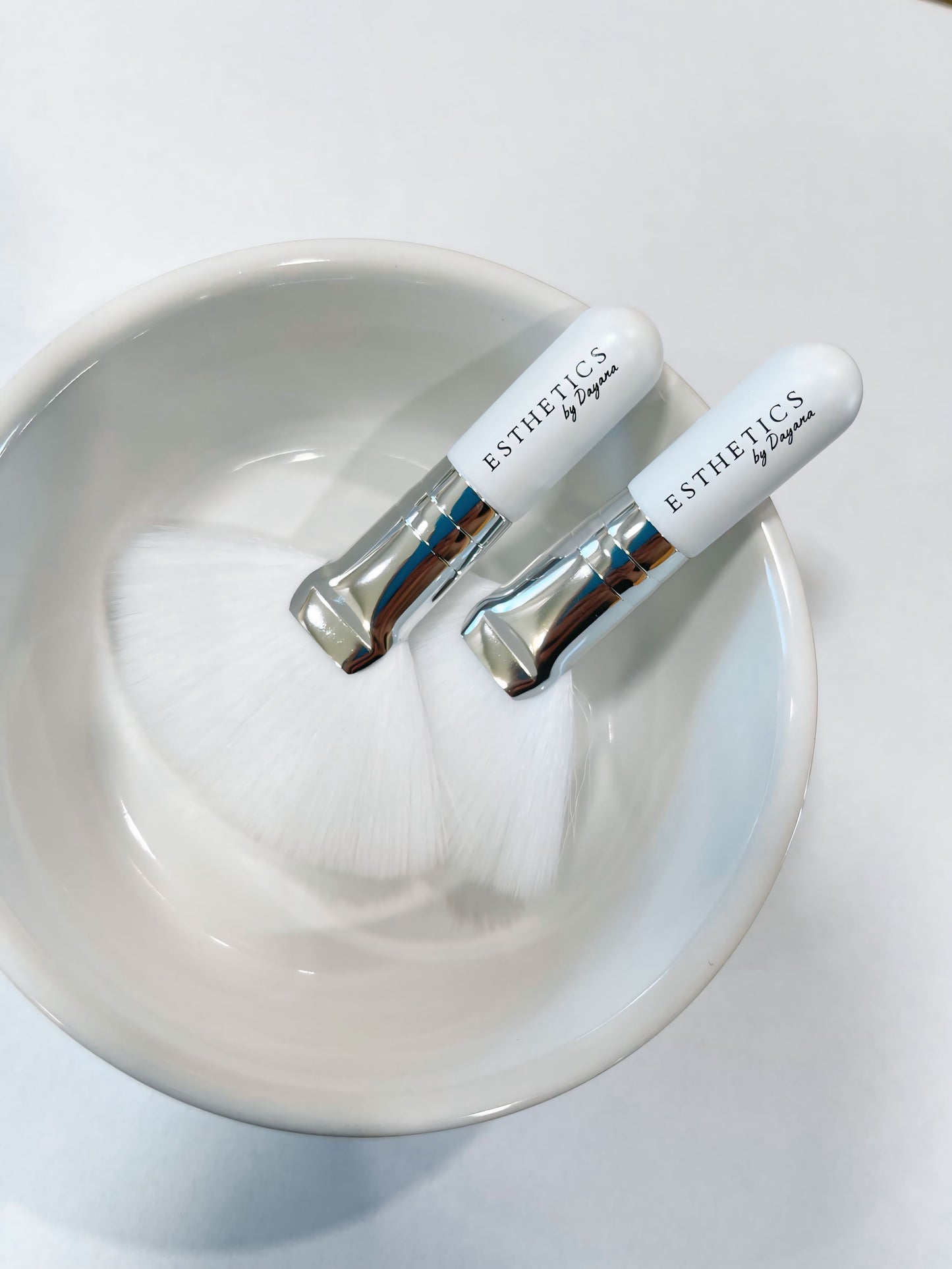 -Compact Edition Esthetician Fan Brush Set of 2